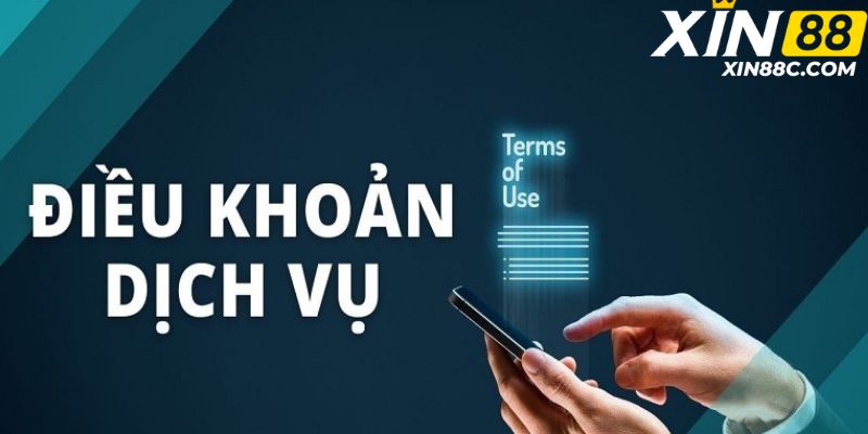 Chính sách điều khoản và điều kiện có các nội dung nào