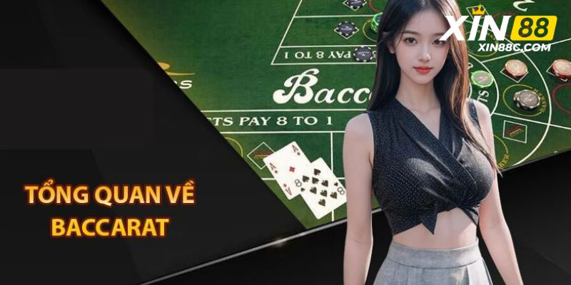 Đôi nét cơ bản về tựa game baccarat tại Xin88