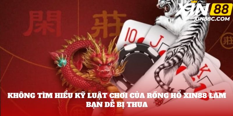 Không tìm hiểu kỹ luật chơi của rồng hổ xin88 làm bạn dễ bị thua