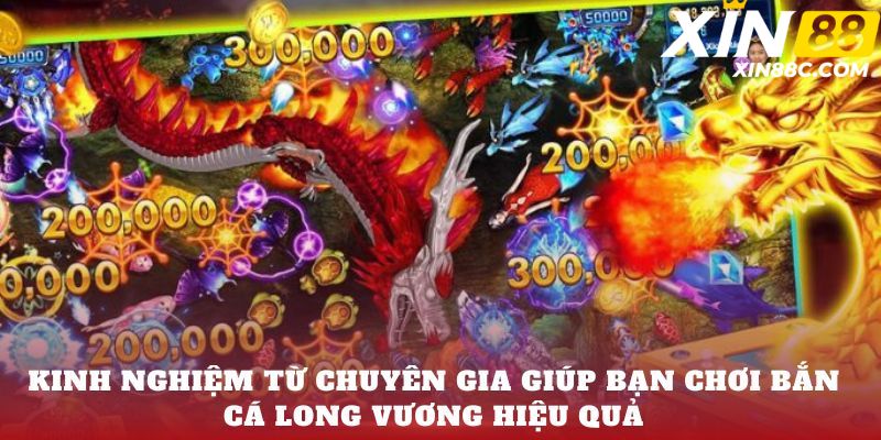 Kinh nghiệm từ chuyên gia giúp bạn chơi Bắn cá Long Vương hiệu quả