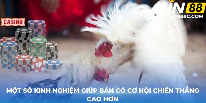 Một số kinh nghiệm giúp bán có cơ hội chiến thắng cao hơn